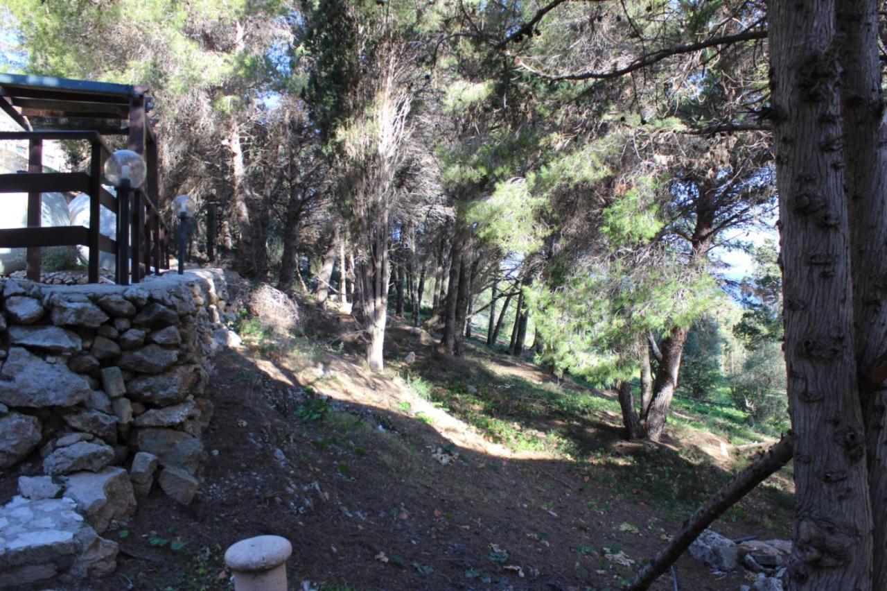 La Pineta Vila Ilha de Ilha de Favignana Exterior foto
